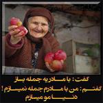 اطـــلاعــــات عمـــومـــی